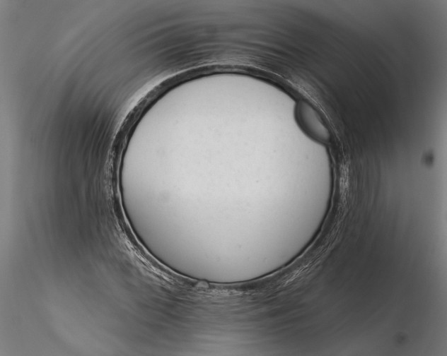 X0000116341068200912151323