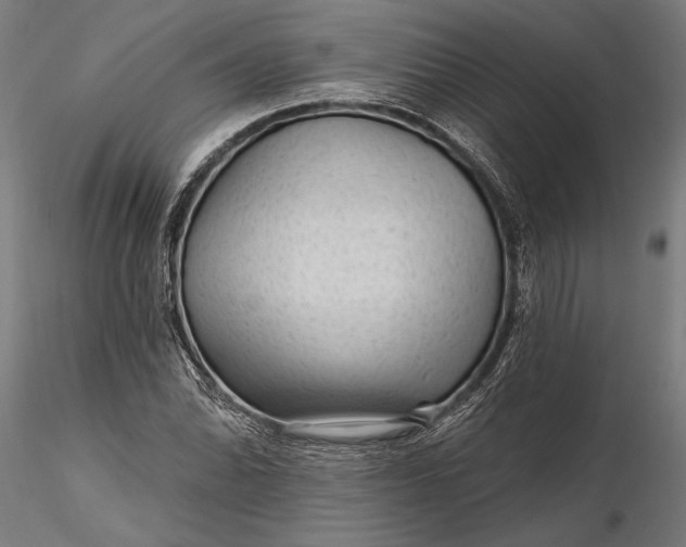 X0000116341070200912151323