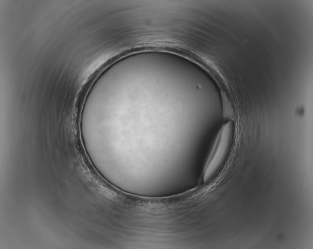 X0000116341071200912151323