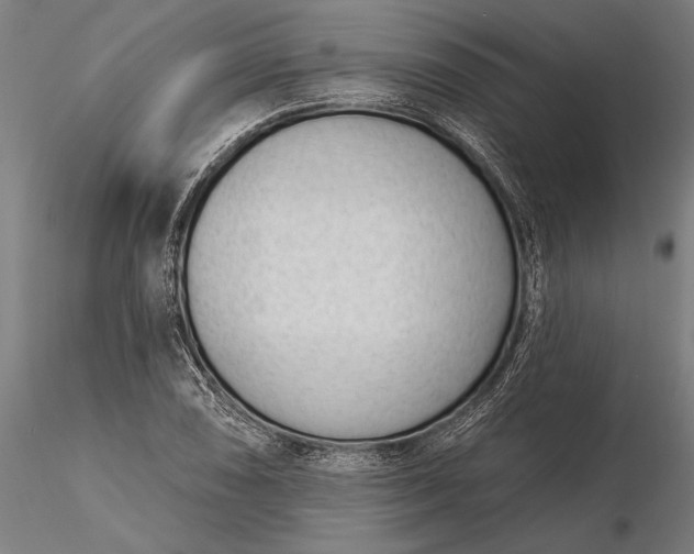 X0000116341074200912151323