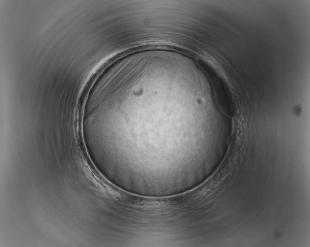 X0000116341076200912151323