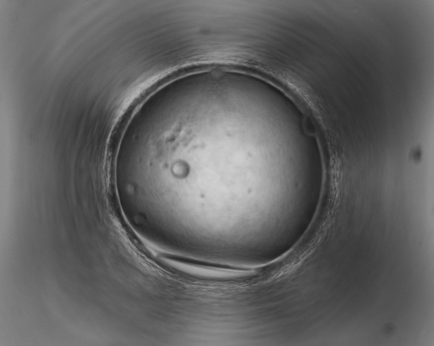 X0000116341077200912151323