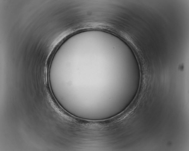 X0000116341079200912151323