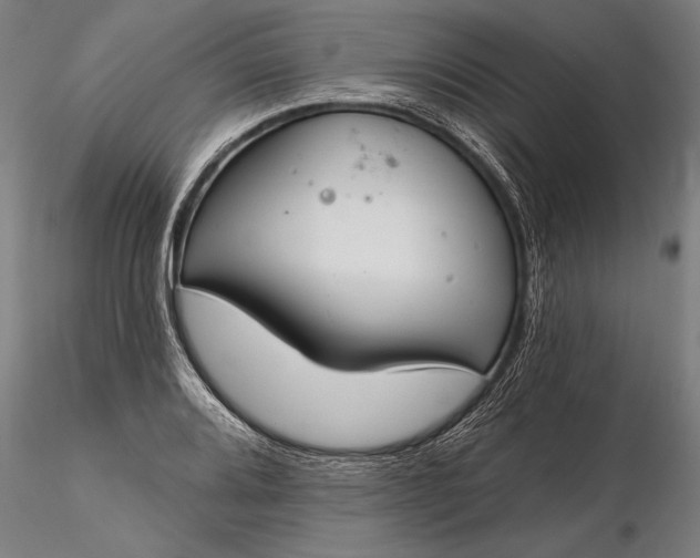 X0000116341080200912151323