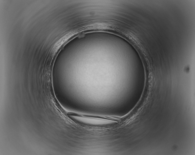 X0000116341081200912151323