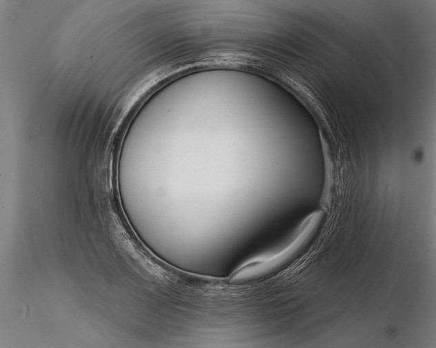 X0000116341083200912151323