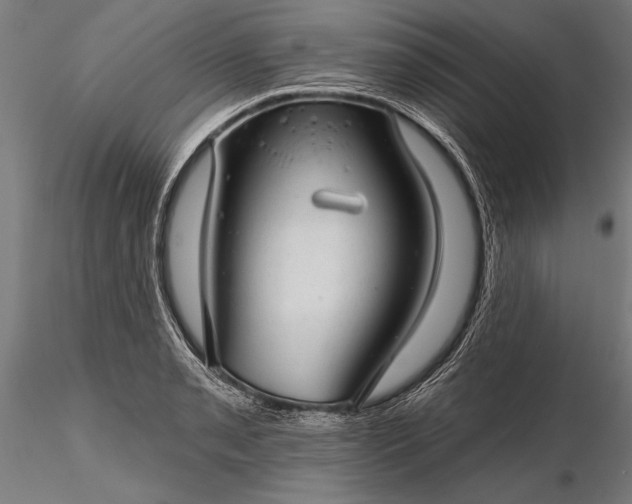 X0000116341085200912151323