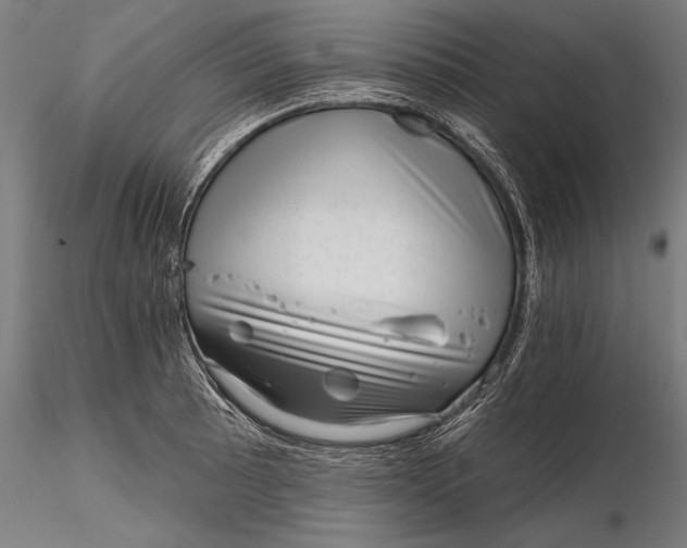 X0000116341089200912151322