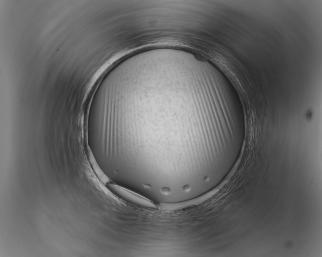 X0000116341092200912151322