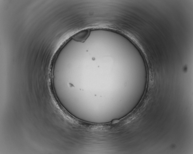 X0000116341093200912151322