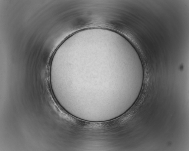 X0000116341094200912151322