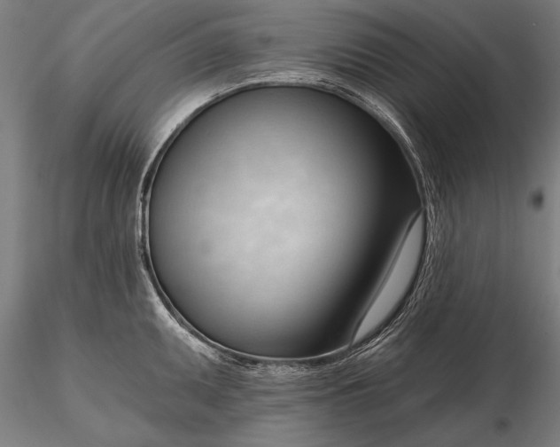 X0000116341095200912151322