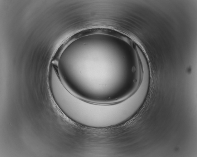 X0000116341096200912151322