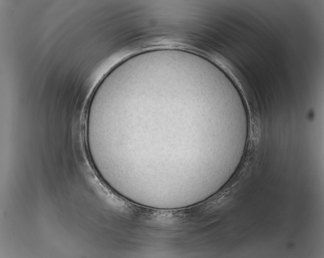 X0000116341098200912151322