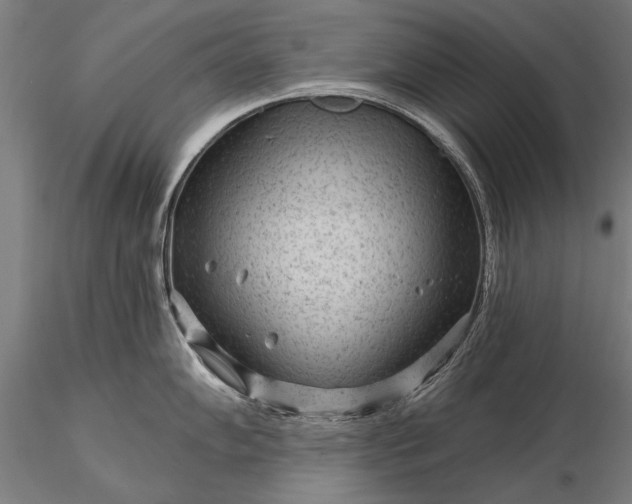 X0000116341102200912151322