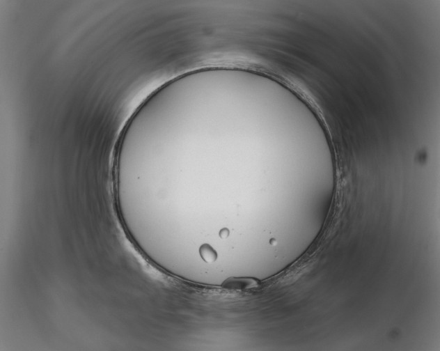 X0000116341103200912151322