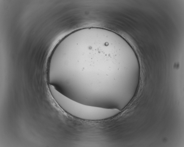 X0000116341104200912151322