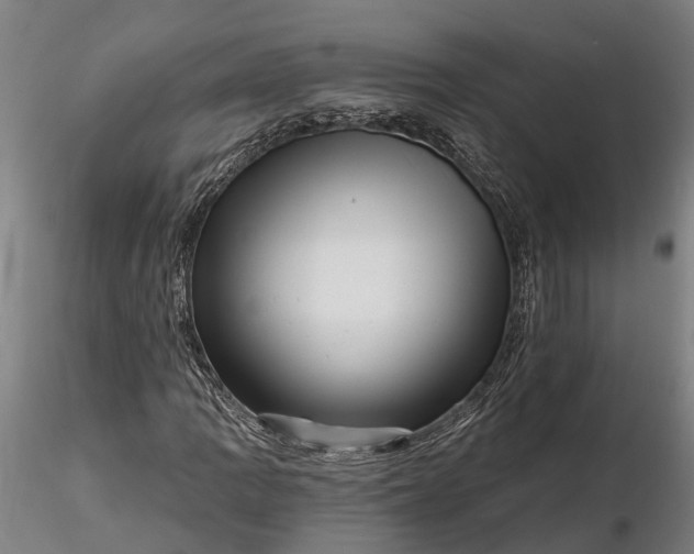 X0000116341109200912151322