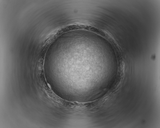 X0000116341110200912151322