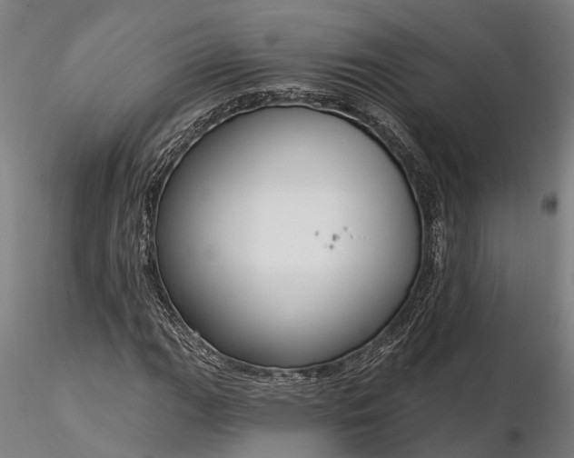 X0000116341111200912151322