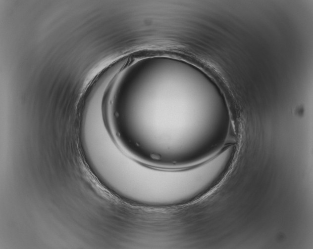 X0000116341114200912151322