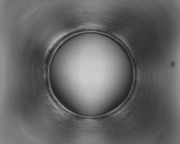 X0000116341115200912151322