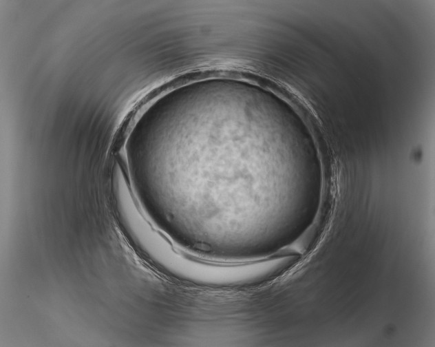 X0000116341117200912151322