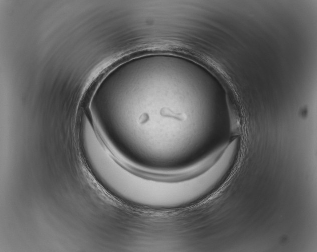 X0000116341122200912151322