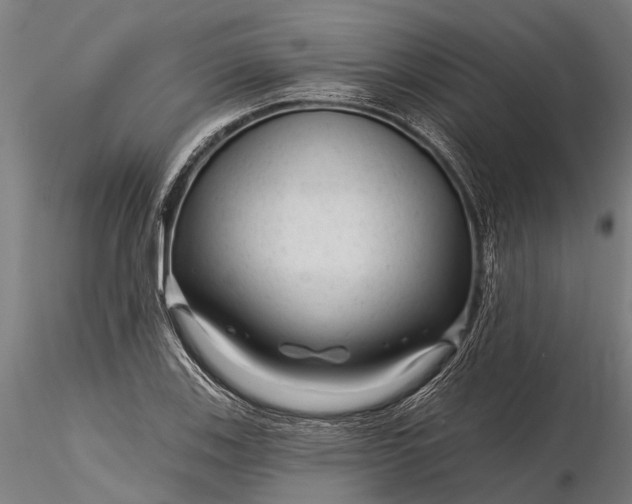 X0000116341123200912151322