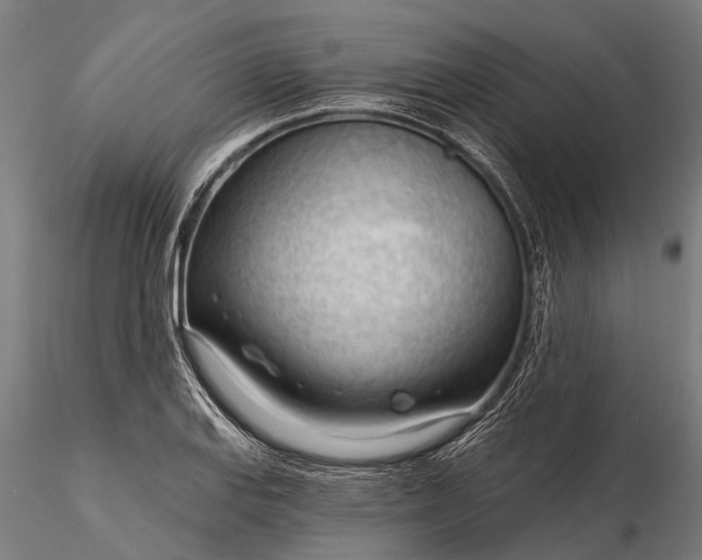 X0000116341127200912151322