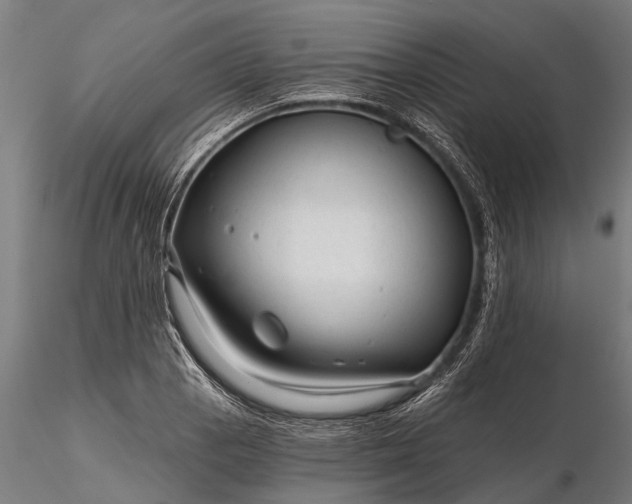 X0000116341129200912151322