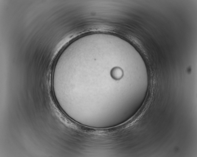 X0000116341130200912151322