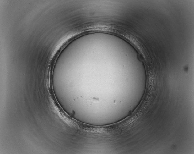 X0000116341131200912151322