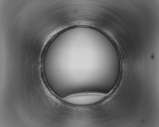 X0000116341133200912151322