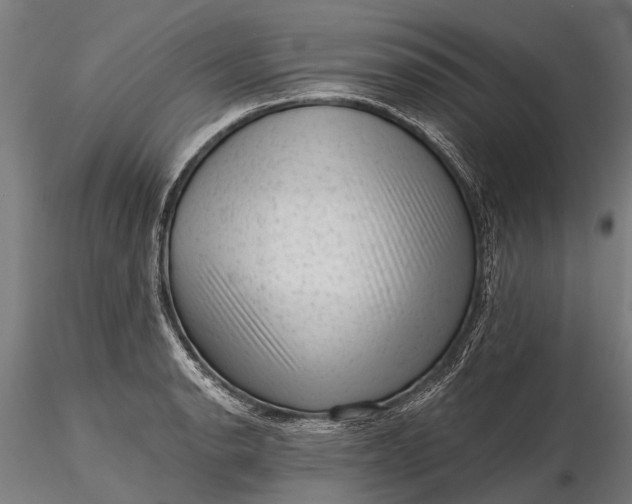 X0000116341134200912151322