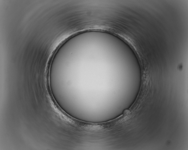 X0000116341135200912151322