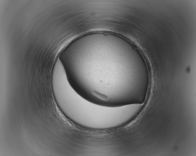 X0000116341137200912151322