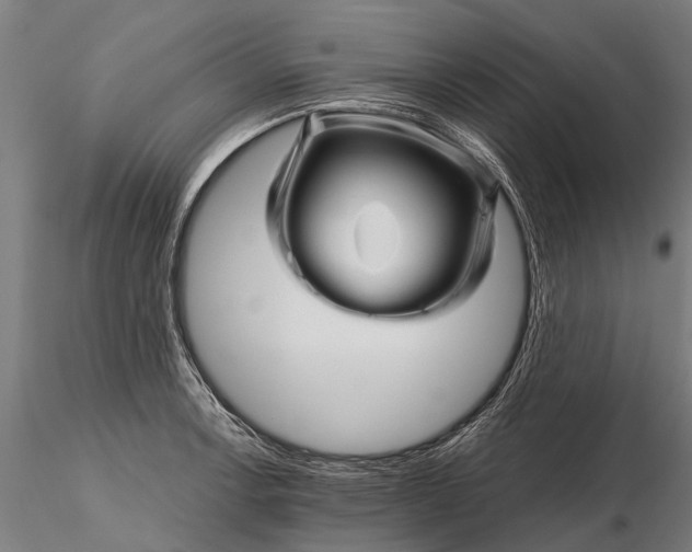 X0000116341138200912151322