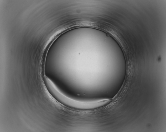 X0000116341139200912151322