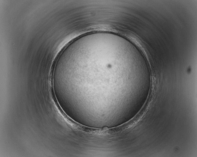 X0000116341141200912151322