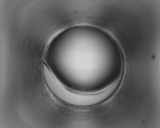 X0000116341145200912151322