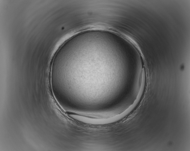 X0000116341146200912151322