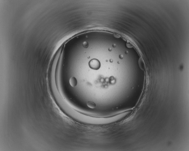 X0000116341149200912151322