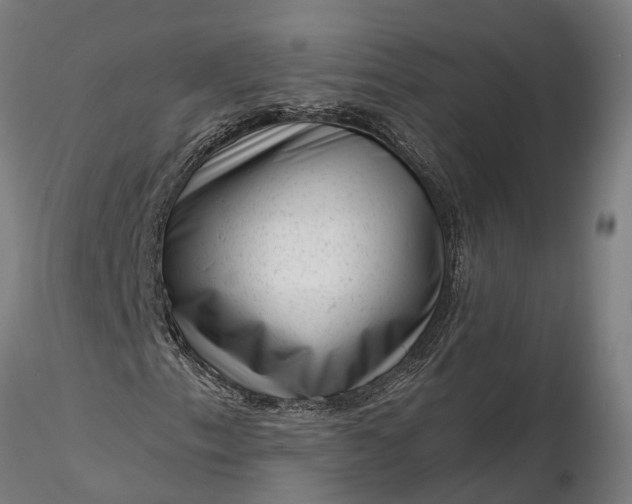 X0000116341153200912151322