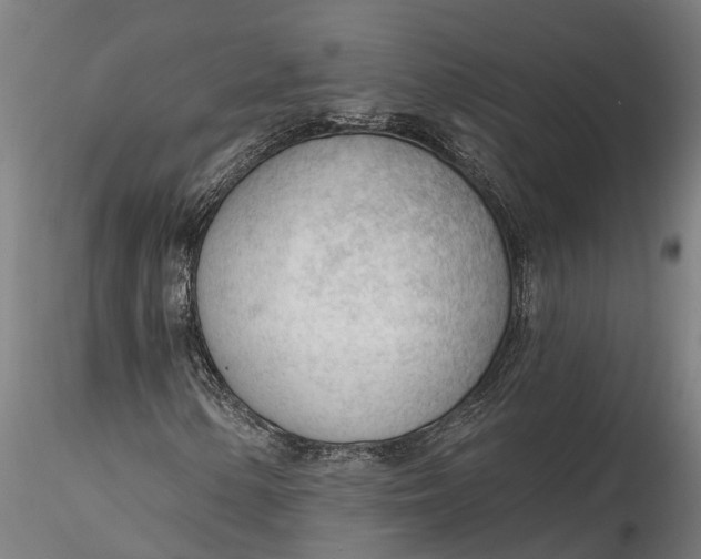 X0000116341154200912151322