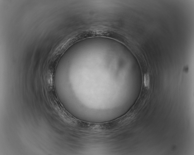 X0000116341155200912151322