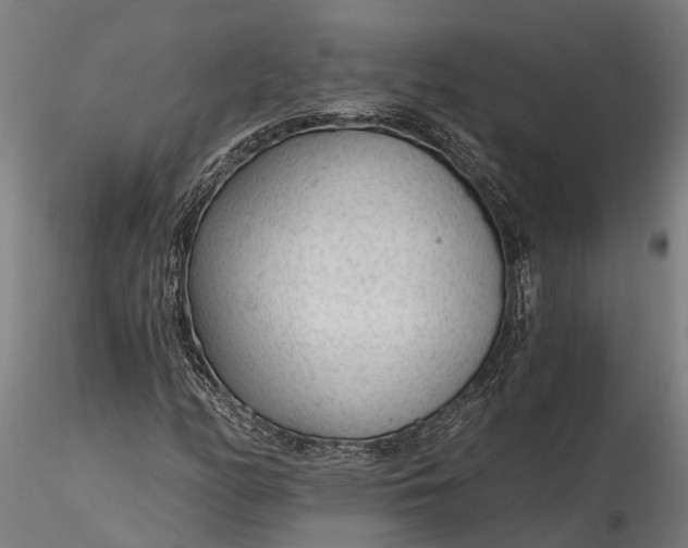 X0000116341158200912151322