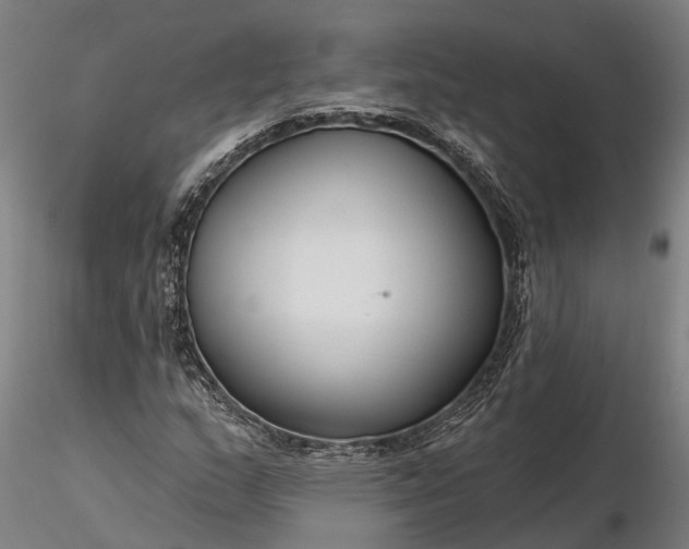 X0000116341159200912151322