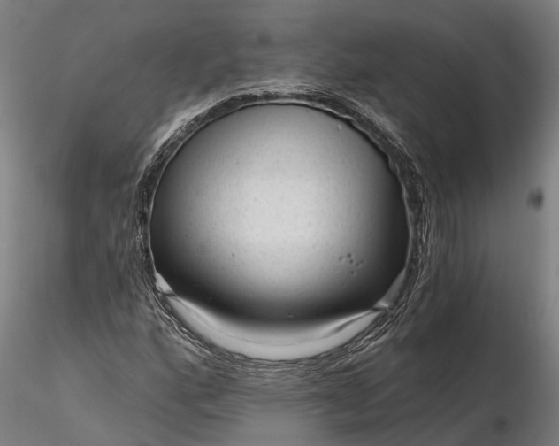 X0000116341160200912151322