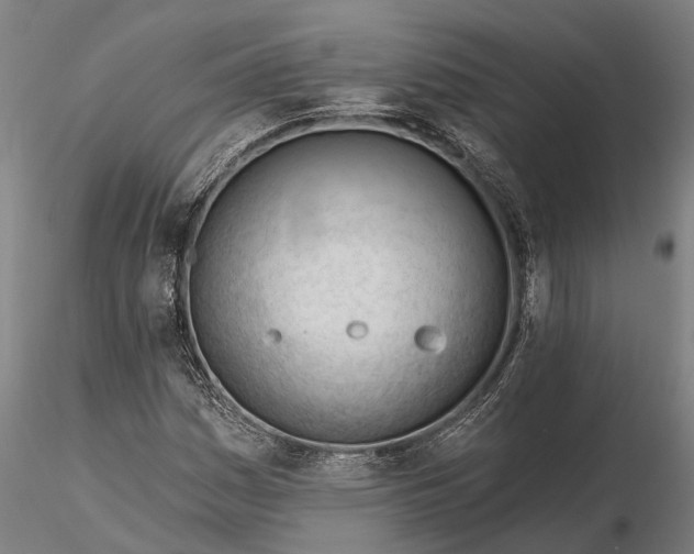 X0000116341161200912151321